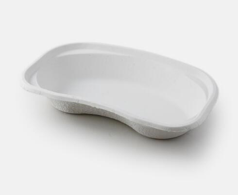 Paper Kidney Tray